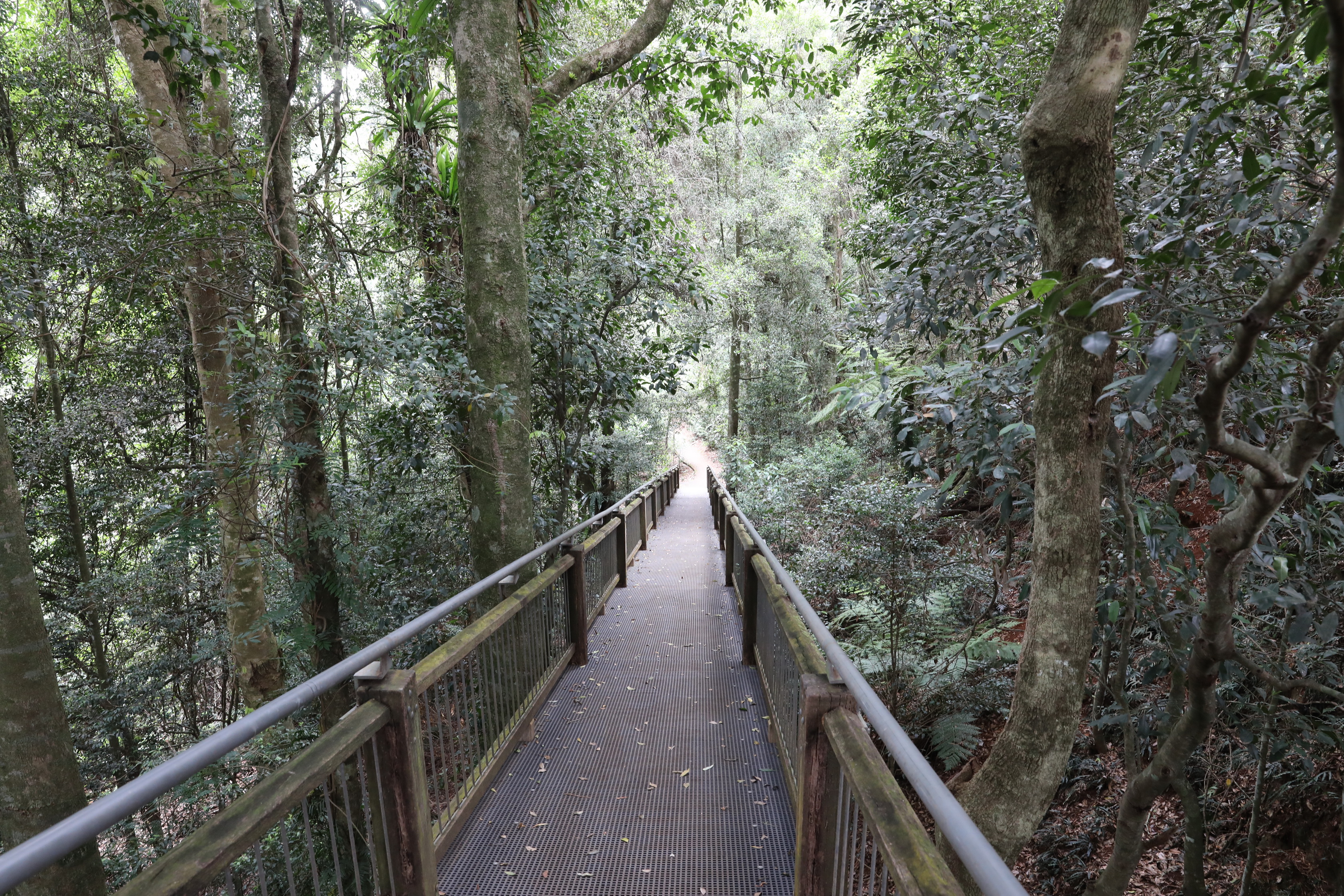 Ab gehts in Regenwald
